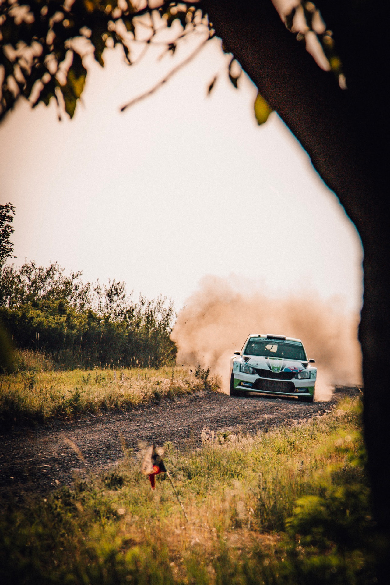 Škoda Motorsport — project visual 2