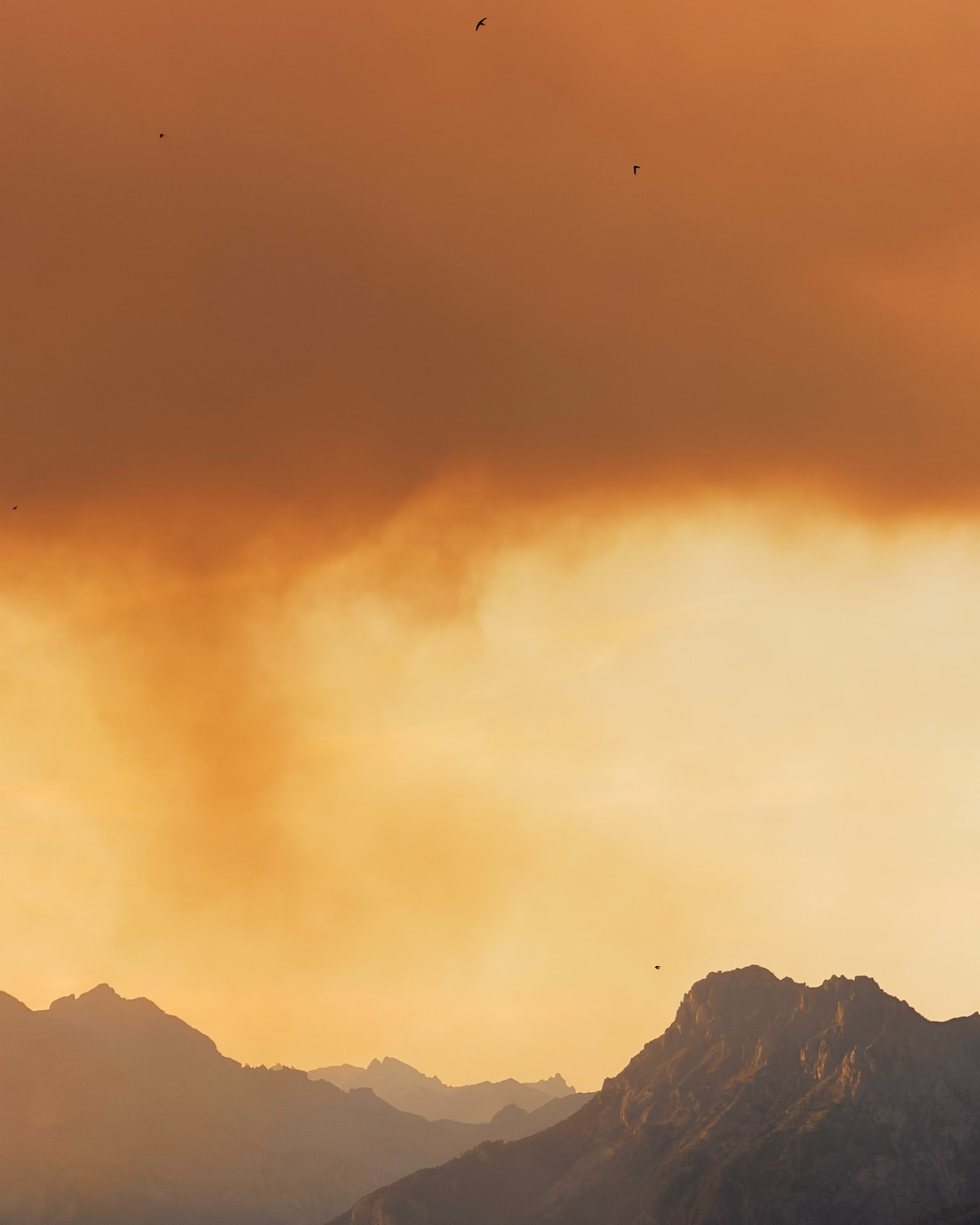 SMOKE ON THE HORIZON — ROUGH BTS